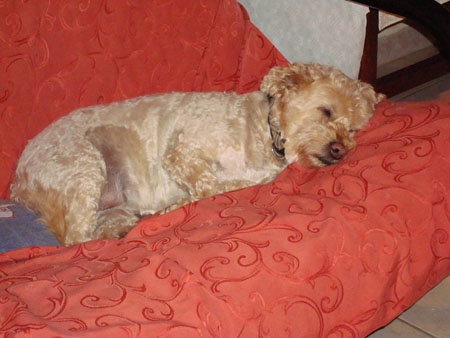 DSC00059