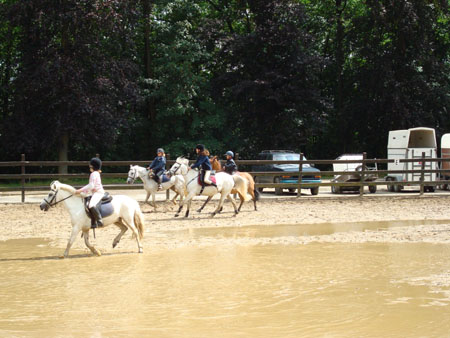 DSC00075