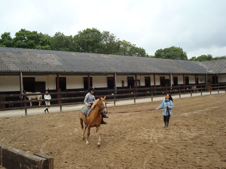 DSC00196