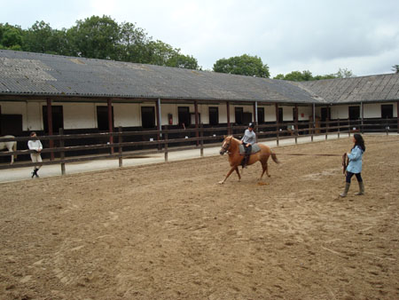 DSC00198