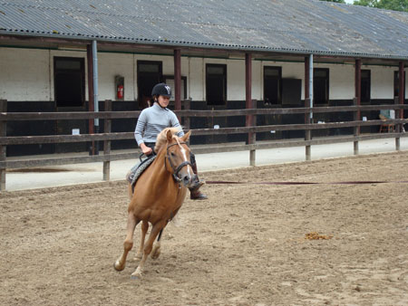 DSC00201