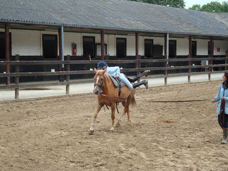 DSC00203