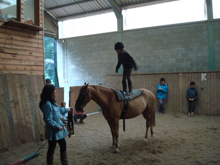 DSC00224