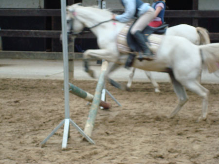 DSC00261