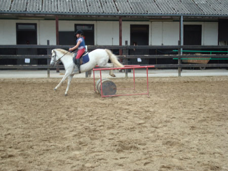 DSC00266