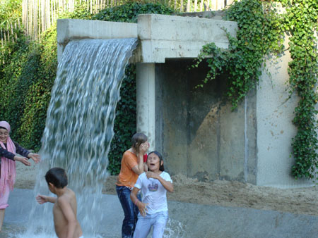 DSC01239