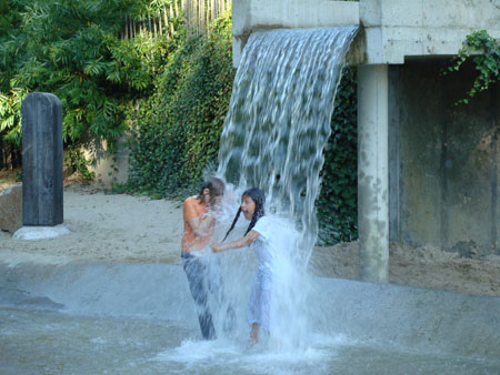 DSC01242