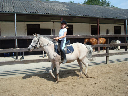 DSC01251