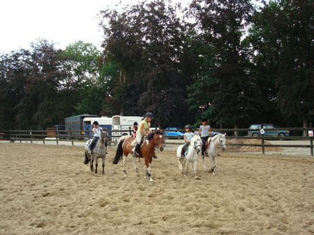 DSC01253