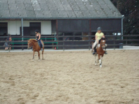 DSC01254