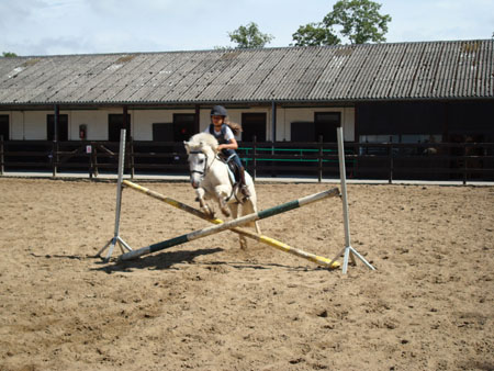 DSC01266
