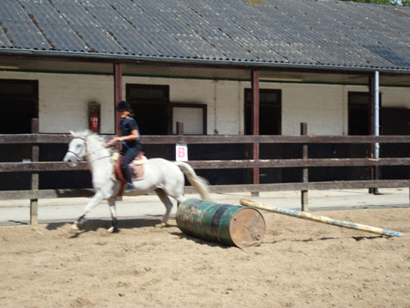 DSC01276