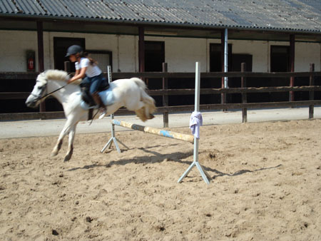DSC01291
