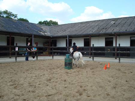DSC01313